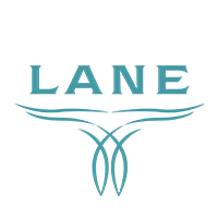 Lane Boots screenshot